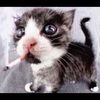 panicked